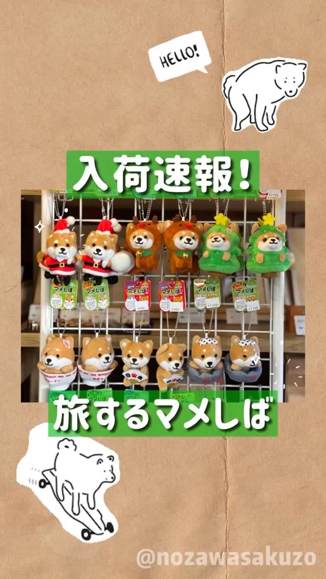 のびねこシリーズのご紹介！ – ゆゑん屋